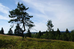 Blick über den Nordhang des Kahlen Asten Richtung Altastenberg