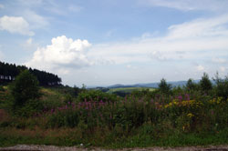 Panoramablick bei der Hoheleyer Hütte