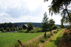 Der Rothaarkamm zweischen Heidkopf und „Schäferhof“