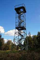 Der Aussichtsturm auf dem Giller oberhalb der Ginsberger Heide