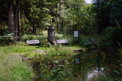 Der denkmalgeschützte Altarstein im Grubental bei Latrop