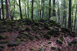 Der Große Stein bei Holzhausen