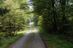 Die historische Eisenstraße (am Eschengraben)