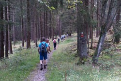 Rothaarsteig zwischen Benfe und Großenbach