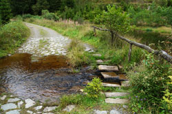 Furt durch den Habecker Bach im Schwarzbachtal