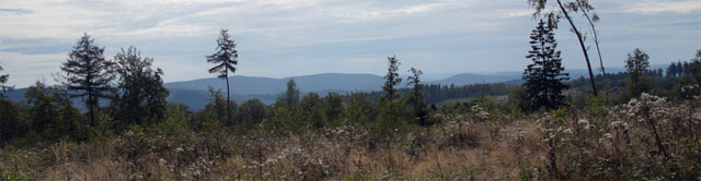 Panoramablick auf der Tiefenrother Höhe