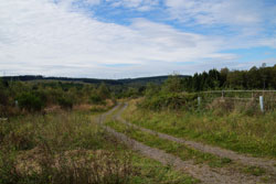 Blick in Richtung Kalteiche