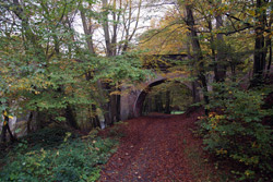 Eisenbahnbrücke über den Aubach