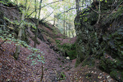 Stillgelegter Basaltsteinbruch im Aubachtal