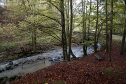 Der Aubach mit Brücke beim Wildweiberhäuschen