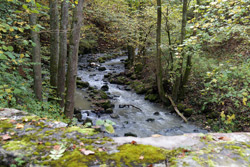 Der Aubach beim Wildweiberhäuschen