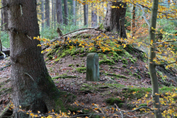 Historischer Grenzstein P (Kurkölner Seite) am Müsener Schlag