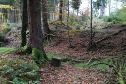 Historischer Grenzverlauf am Müsener Schlag