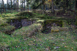 Steinerne Keller auf dem Altenberg