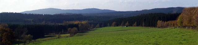 Blick über den Weidenkampen Richtung Kindelsberg