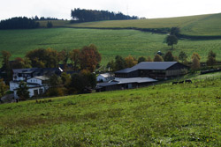 Blick vom Soester Totenweg auf Ebbinghof