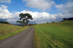 Die Alte Rheinstraße am Kornberg