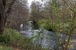 Die Wupper unterhalb von Leiersmühle