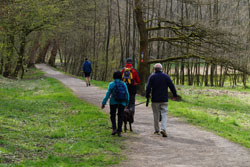 Der Eifgenbachweg unterhalb  des Frohntaler Hammers 