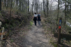 Der Eifgenbachweg bei Neuemühle