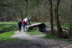 Der Eifgenbachweg untrhalb der Markusmühle