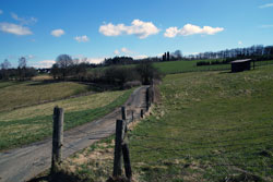 Naturschutzgebiet Magerwiese Hohenhain