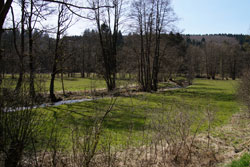 Almeaue unterhalb des Multhäupter Hammers