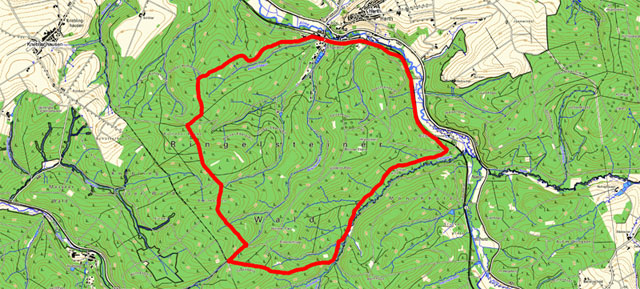 Route der Wanderung durch den Ringelsteiner Wald