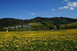 Elleringhausen mit Borberg, Habberg und Ginsterkopf