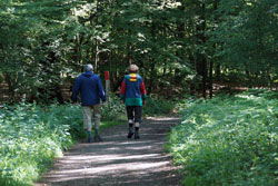 Wanderer in Richtung Leyenweiher