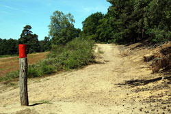 Der Wasser-und-Dünen-Wanderweg am Fliegenberg