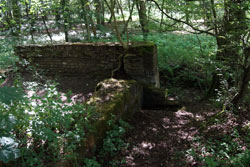 Ruine des Brunnenkellers. Angelegt wurde er Mitte des 19. Jahrhunderts von Baron von Loë