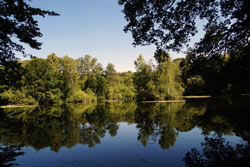 Bei dem Leyenweiher handelt es sich um einen Stau-Teich der um 1845 angelegt wurde