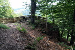 Das „Hollenhaus“ ist gar kein Haus, sondern ein wuchtiger Felsen im Wald nahe Bödefeld