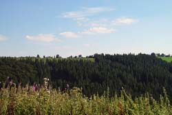 Blick vom Vorderen Hohen Knochen auf Langewiese