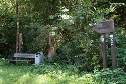 Rastplatz an der Ruine Rüdenburg in Arnsberg