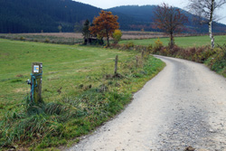 Die Heidenstraße zwischen Selkentrop und Werntrop