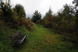 Altstadtpfad zur Burgruine