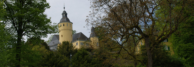 Schloss Homburg