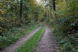 Die Eisenstraße zwischen Kalkofen und Distelkamp