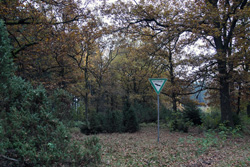 Naturschutzgebiet Wacholderheide Kihlenberg