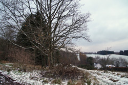 Auf der Birlenbacher Höhe