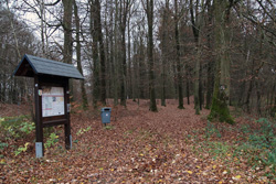 Der Dicke Schlag in Hohenhain