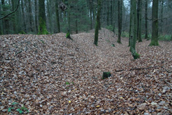 Teil der Alte Schanze in Hohenhain