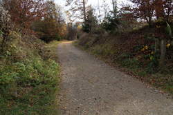 Der alte Fernweg am Holzklauer Schlag