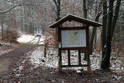 Historischer Tiergarten Siegen