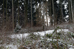 Der Jüdische Friedhof am Eichhagen am Nordhang des Ratzelberges