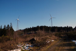 Blick zum Neuenkleusheimer Weidekampen