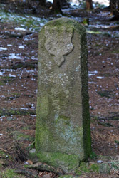 Historischer Grenzstein DD (Nassauerr Seite) am Heck