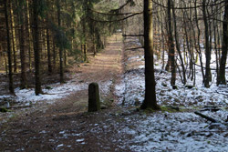 Historischer Grenzstein DD am Heck